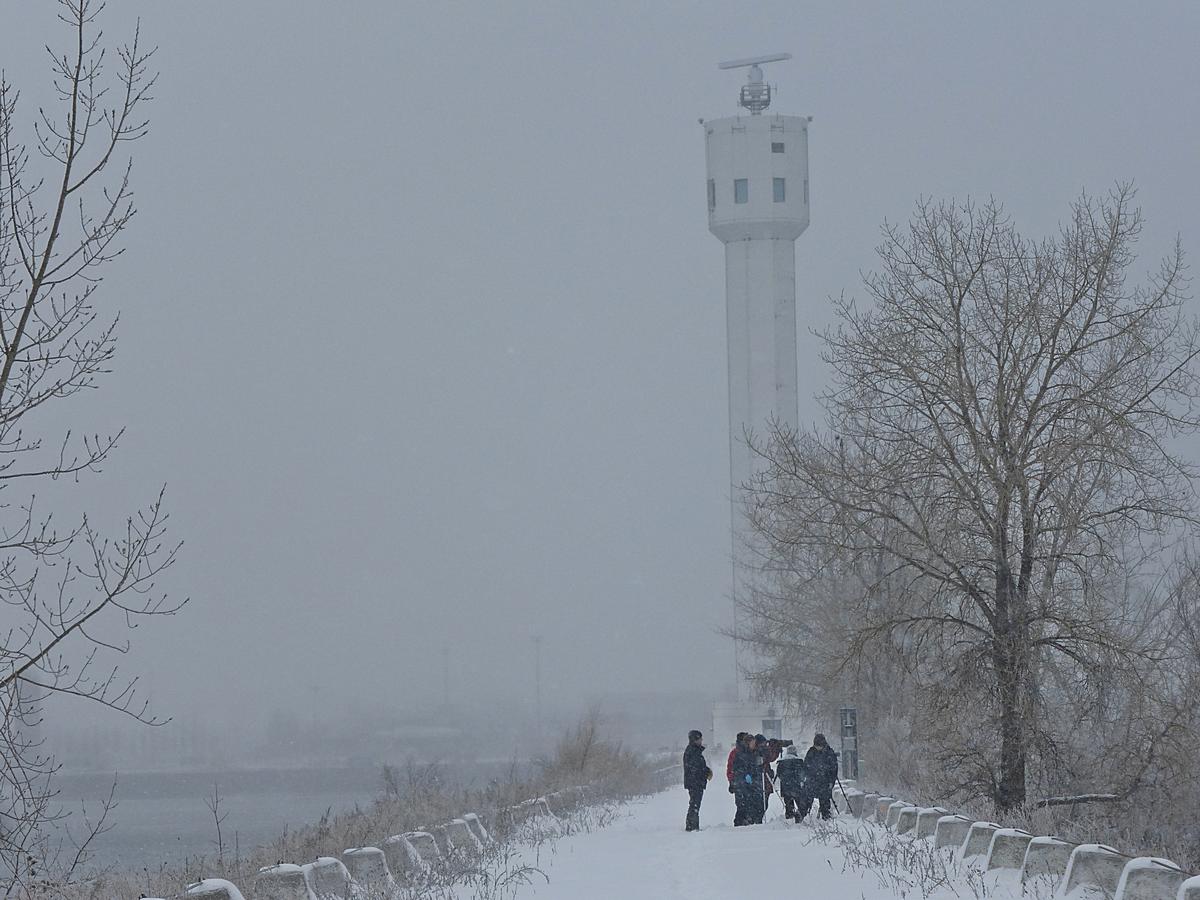 40 amateurs participent au 117e recensement des oiseaux de Noël