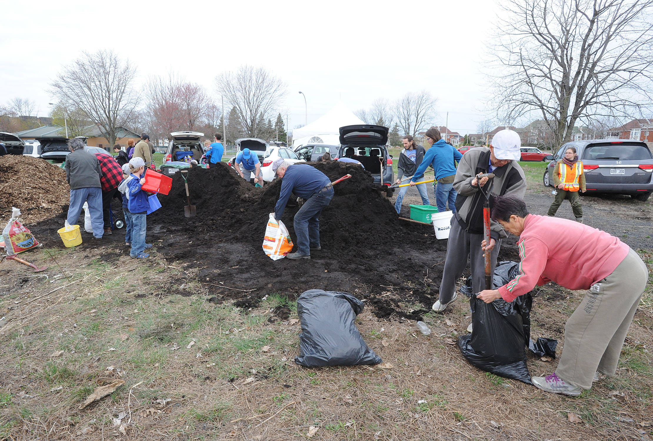 Journée verte de Longueuil: 1000 arbres distribués gratuitement aux citoyens