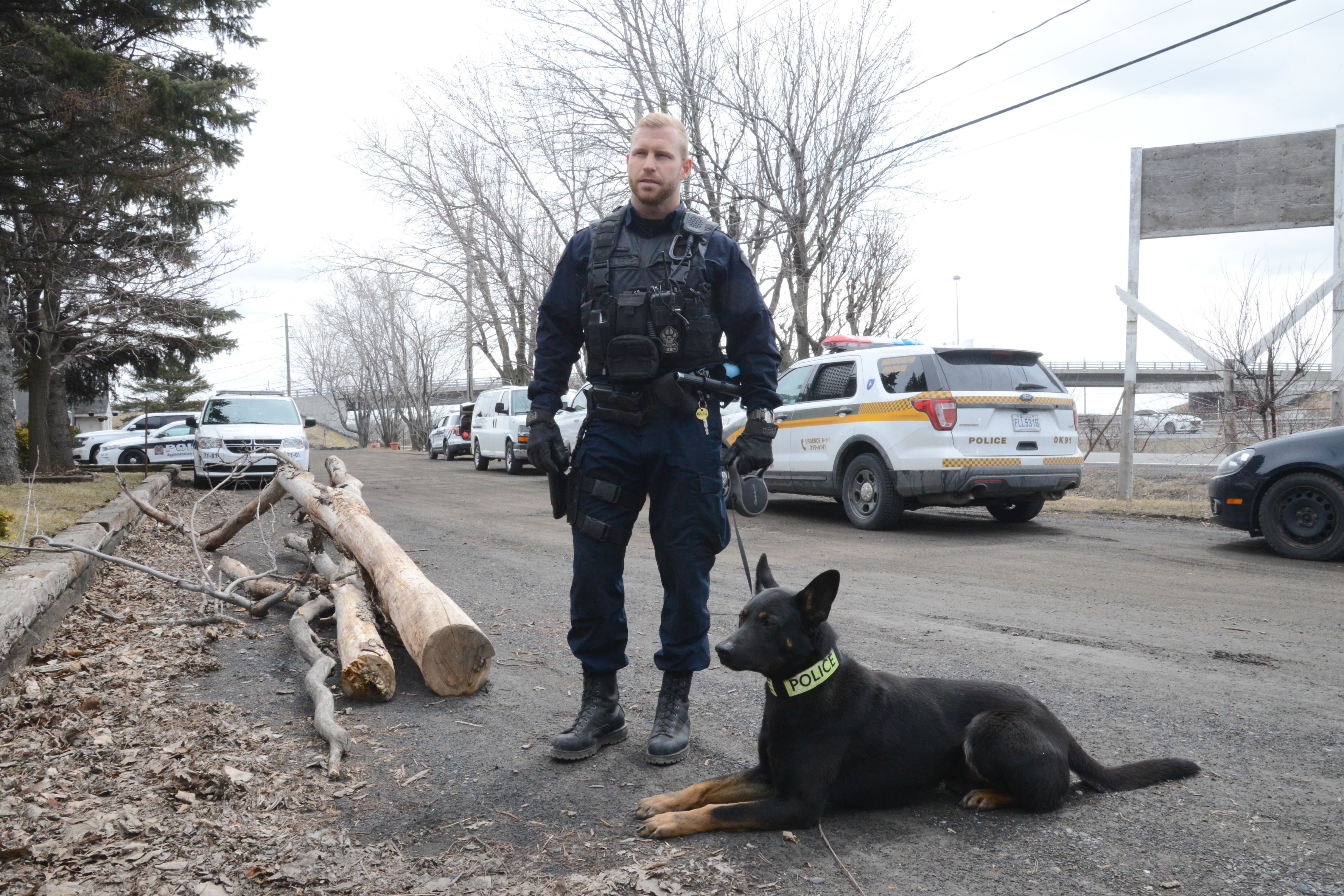 Course sur le boul. Milan: un fuyard flairé par un chien policier