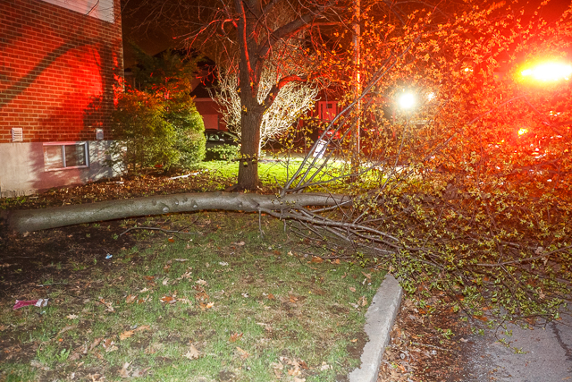 Les vents forts causent des dommages sur le territoire