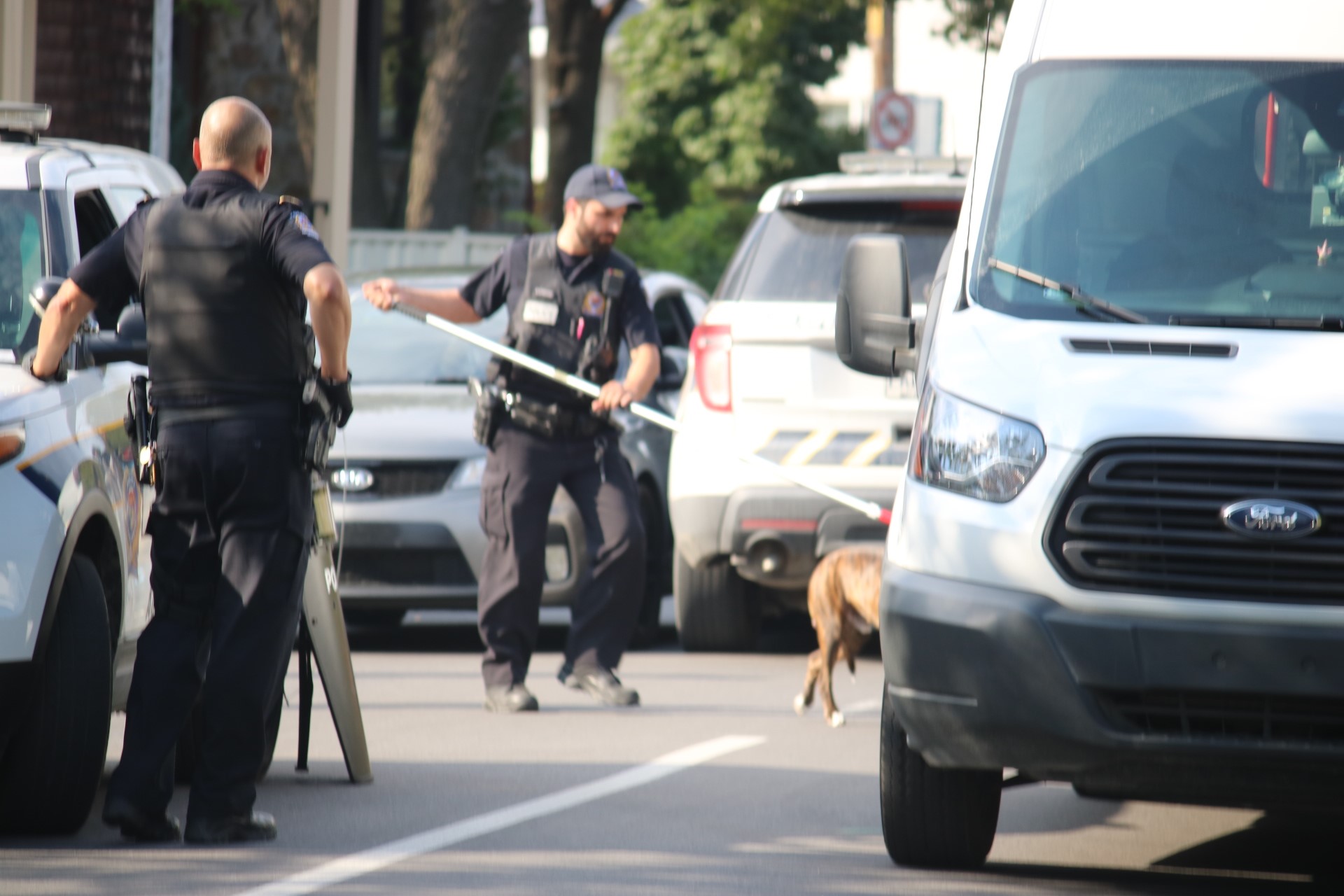 Un pitbull blesse sérieusement ses propriétaires