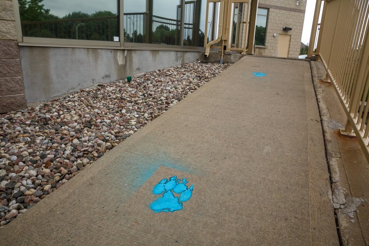 Le local de campagne de Gaétan Barette vandalisé par La Meute