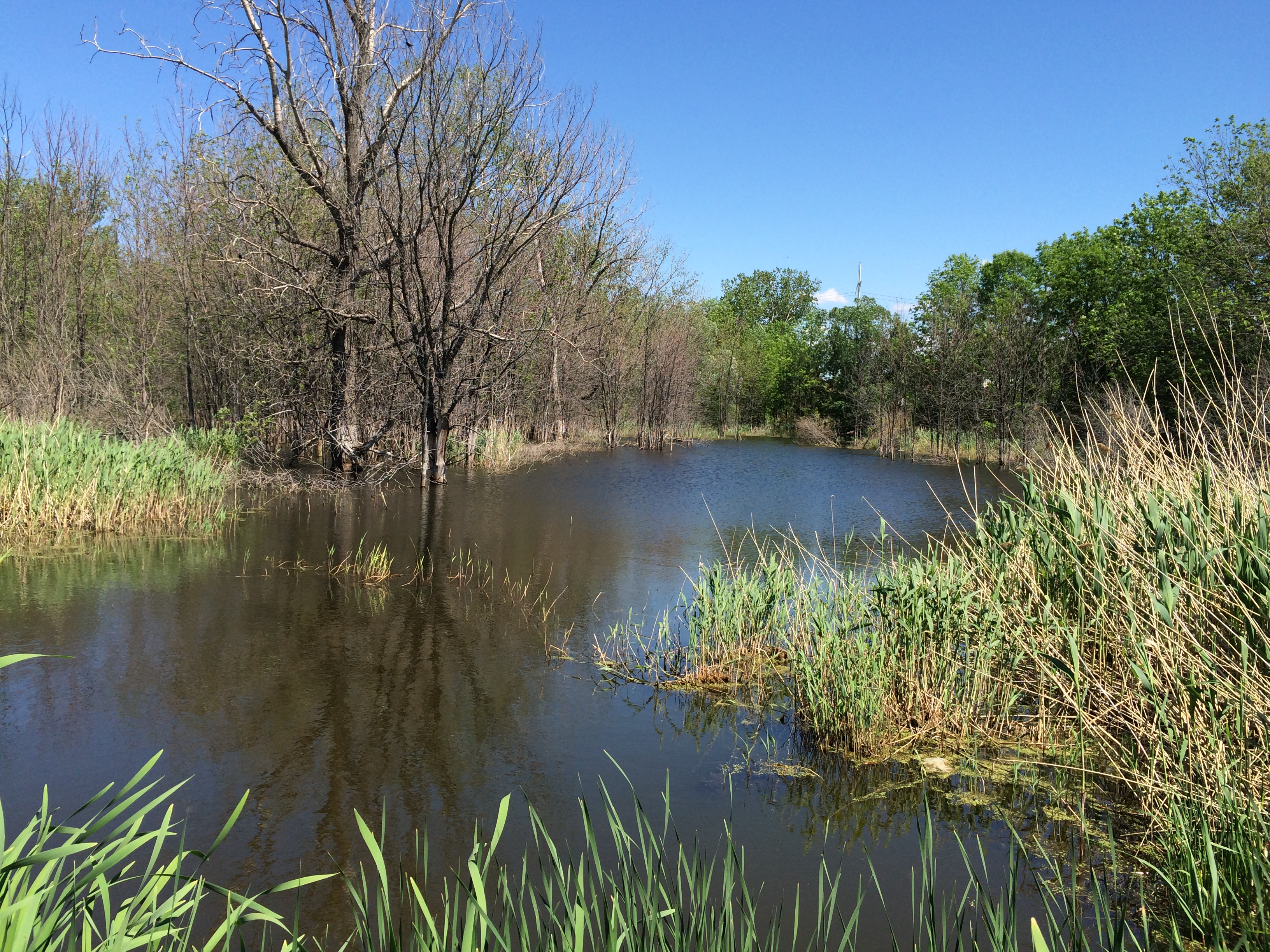 Un sentier d’interprétation sera aménagé au parc de la Terre