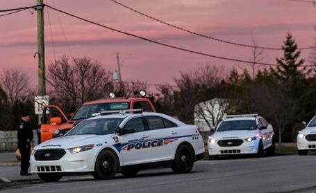 Un cas de rage au volant dégénère
