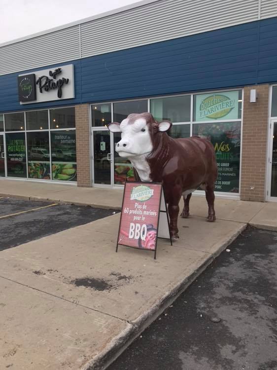 La mascotte d’une boucherie sauvée