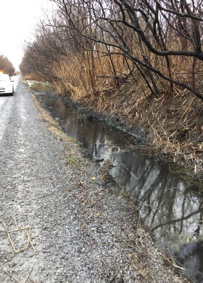 Déversement d’huile usée dans un fossé