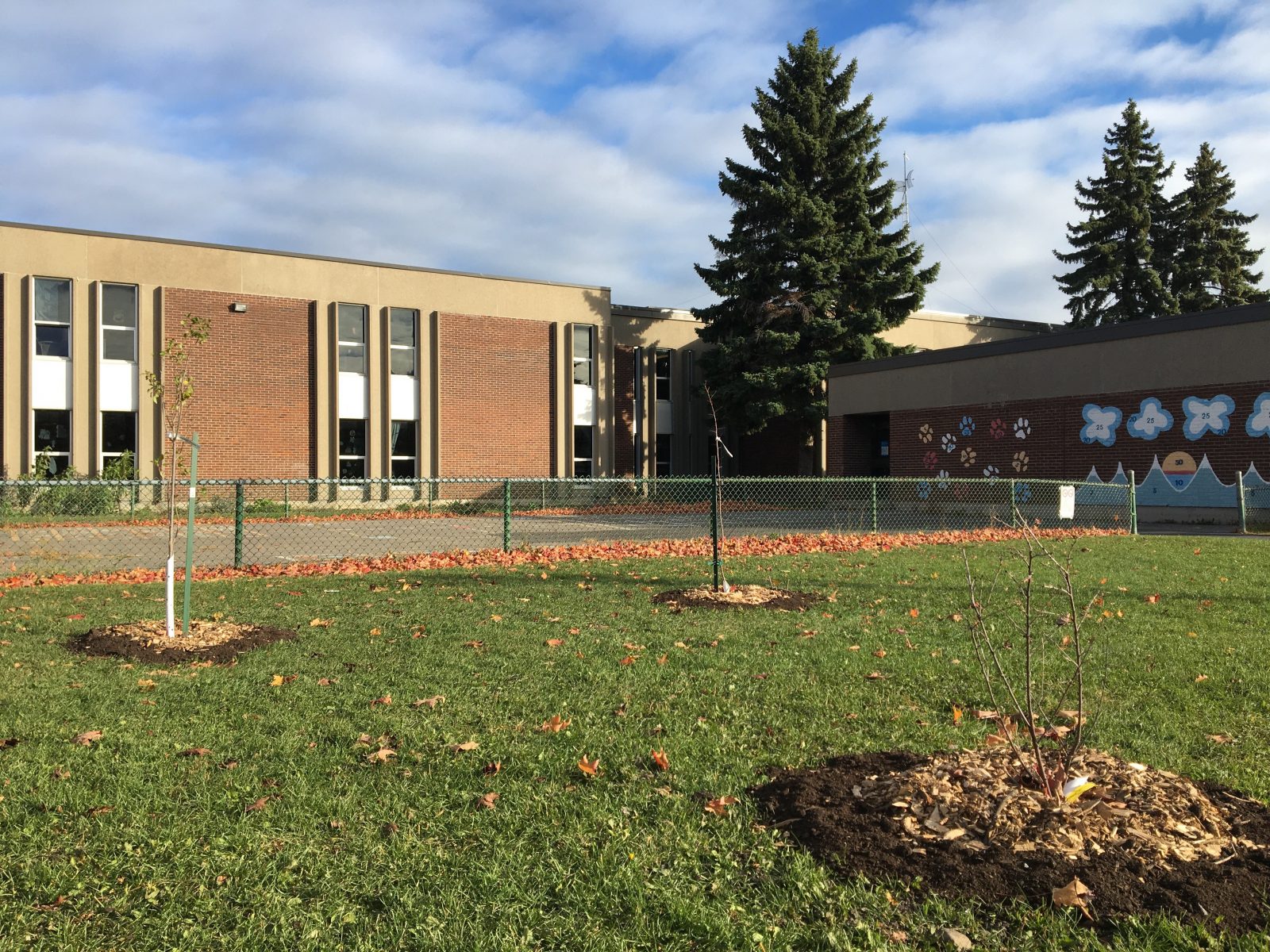 Un projet pilote d’école communautaire est lancé à Longueuil