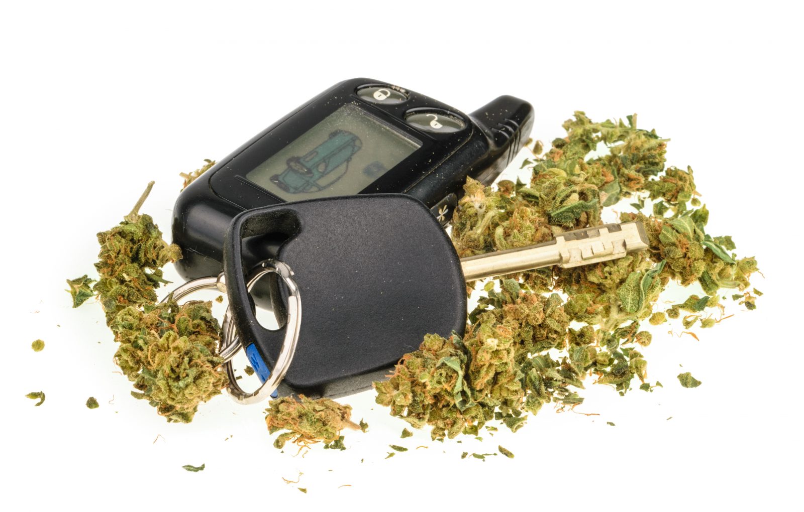 Cannabis : vers une augmentation des cas chez les conducteurs ?