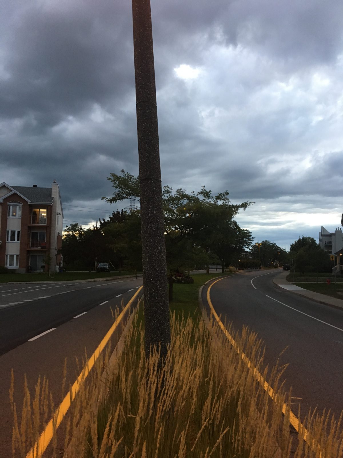 Des pancartes du candidat libéral disparaissent