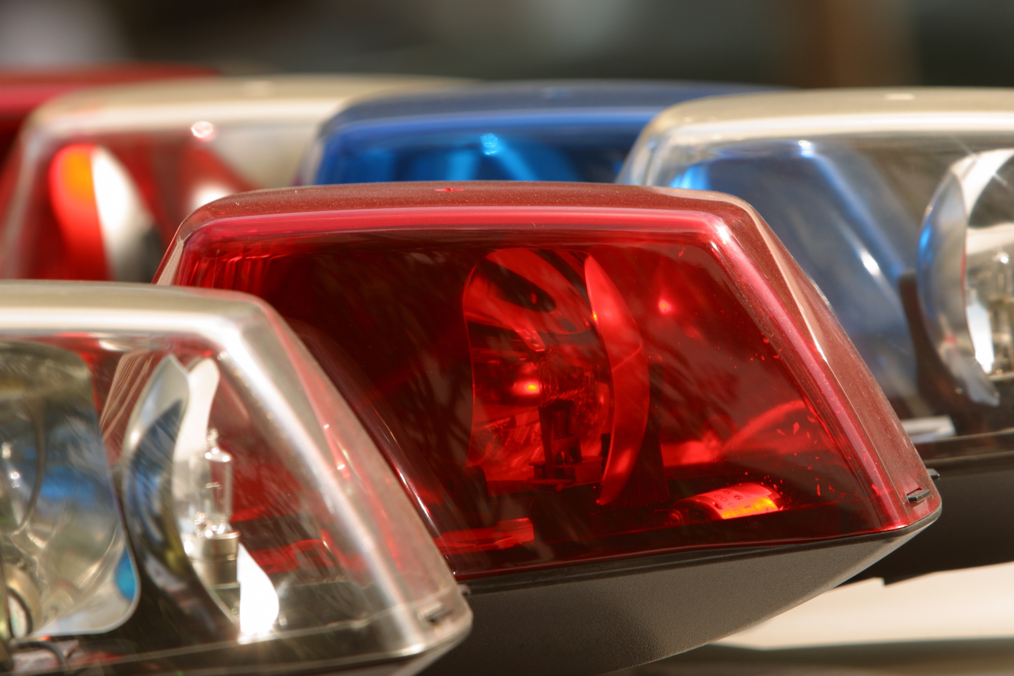 Deux chiens retrouvés morts sur la Rive-Sud