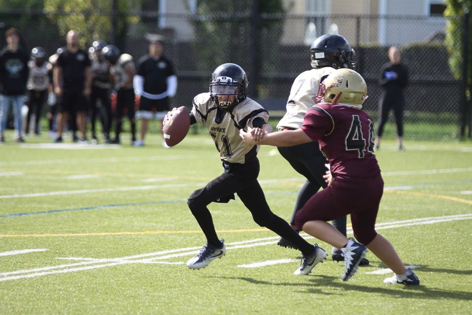 Les Sphinx prennent leur envol