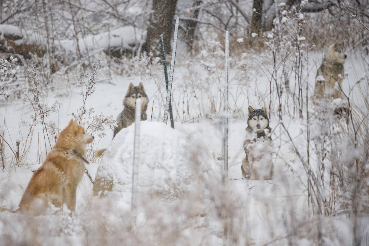 Rétrospective – Janvier 2019