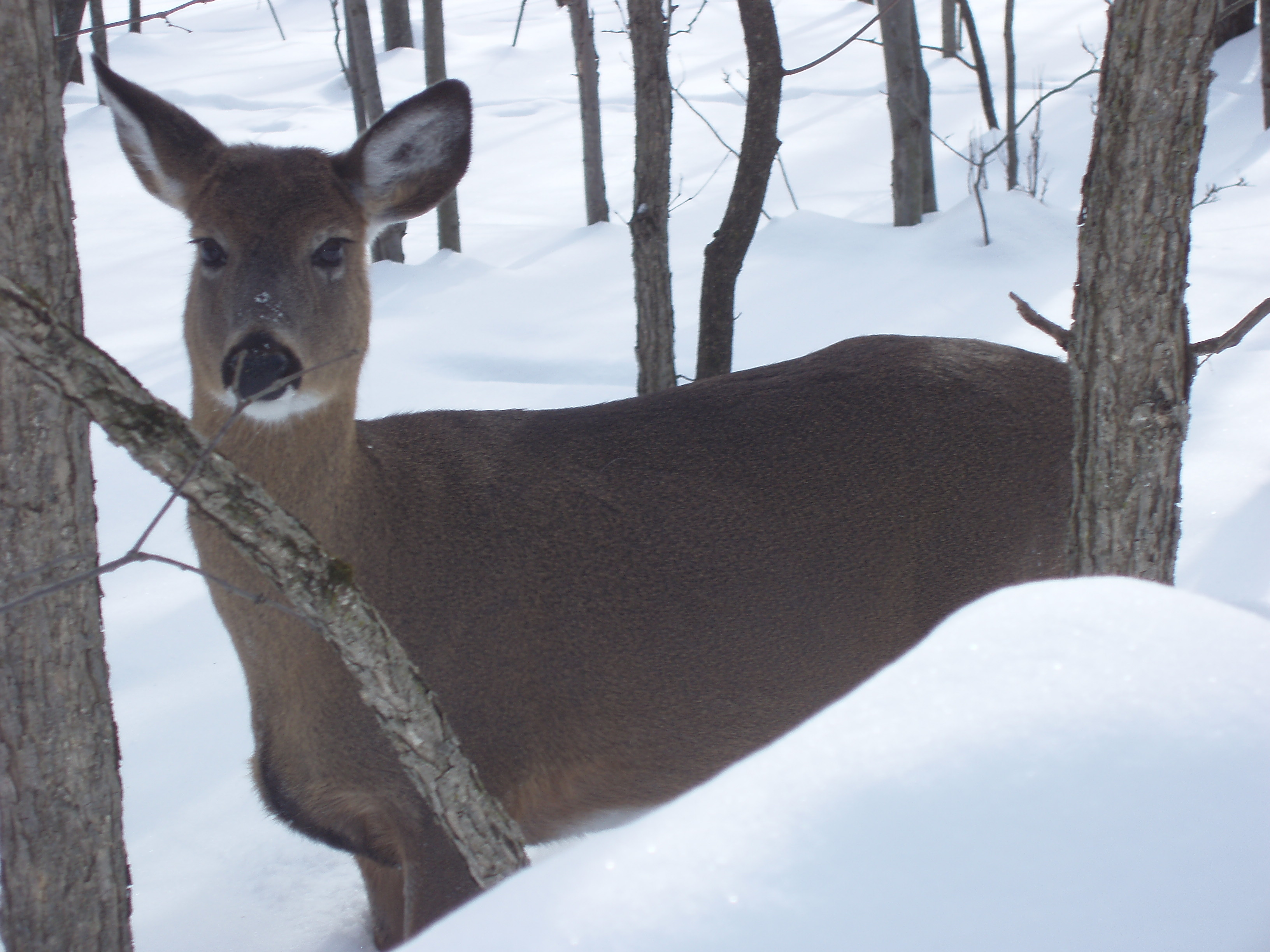 Au parc Michel-Chartrand