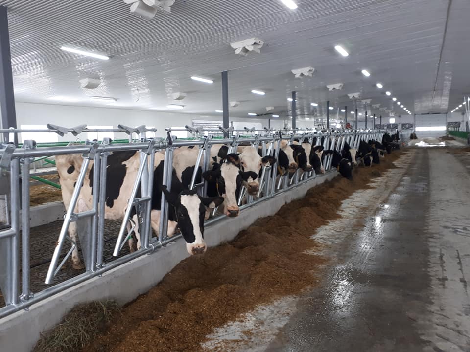 Des dons de lait jamais vus