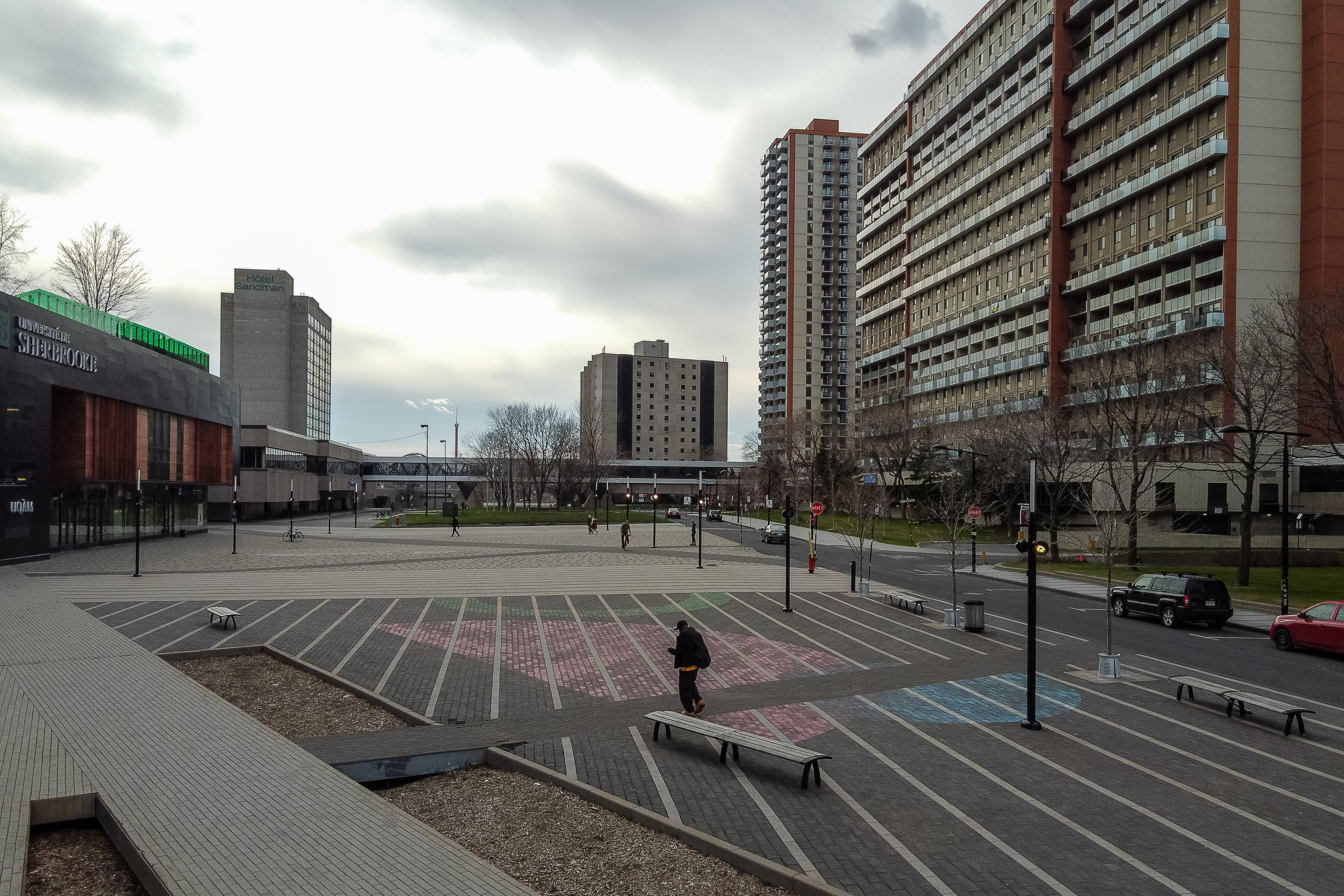 Un peu de vigueur pour les plantes et arbustes du centre-ville