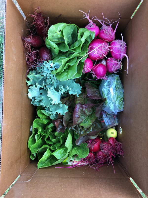 Acheter local auprès des producteurs grâce aux restaurants