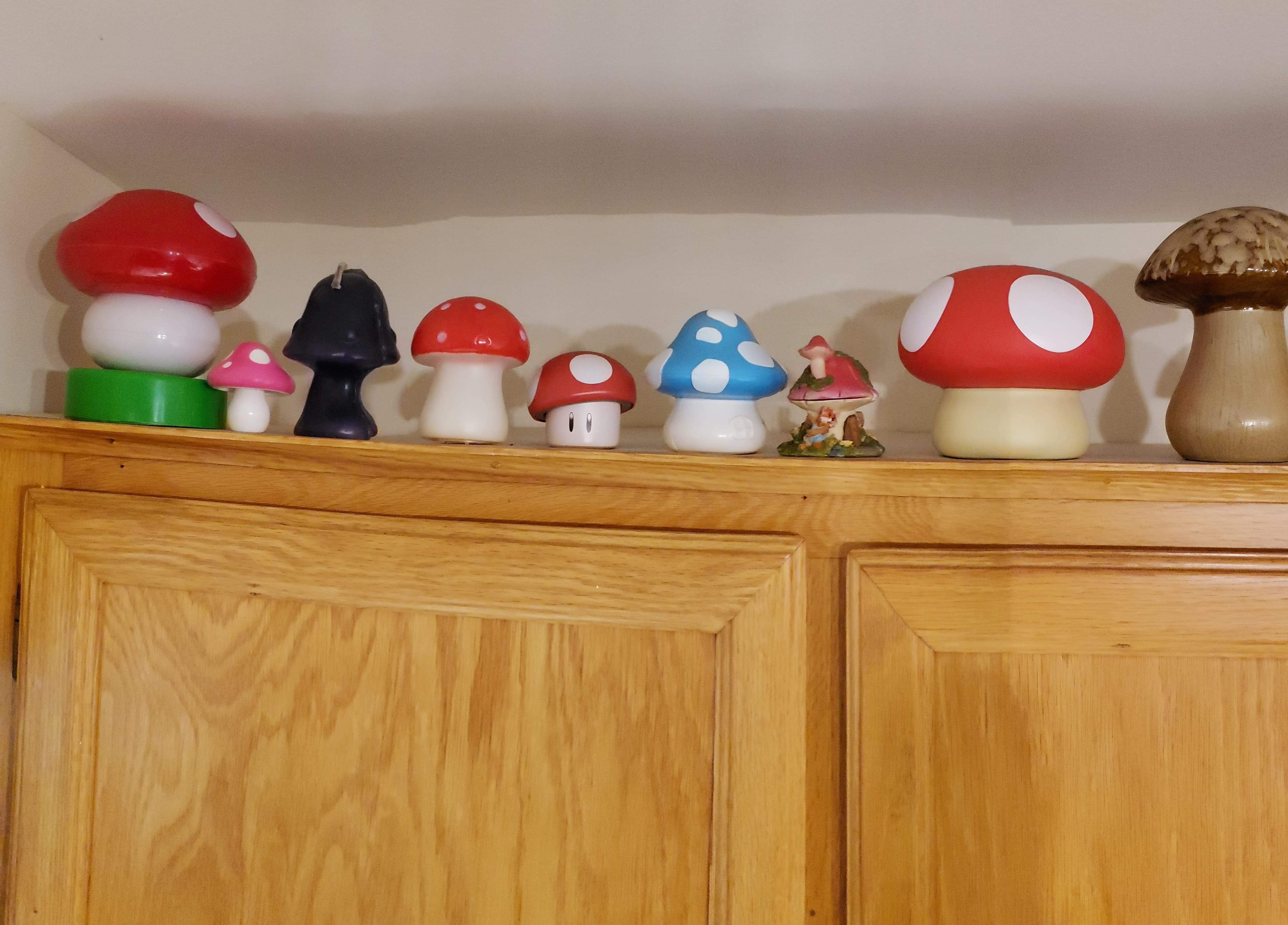 PHOTOS – De mignons champignons, tout partout