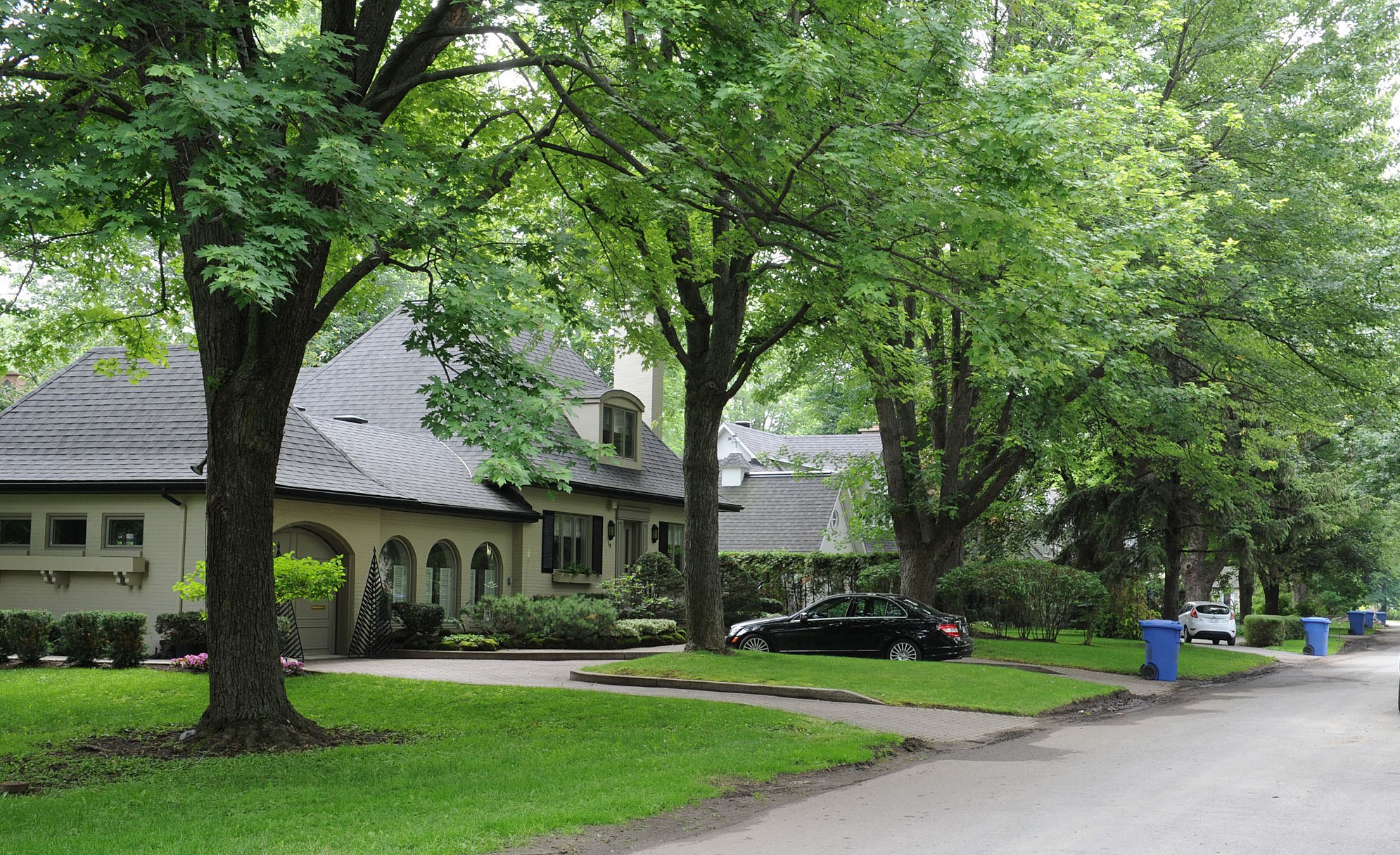 Un logiciel pour doter le Québec d’un couvert forestier plus durable