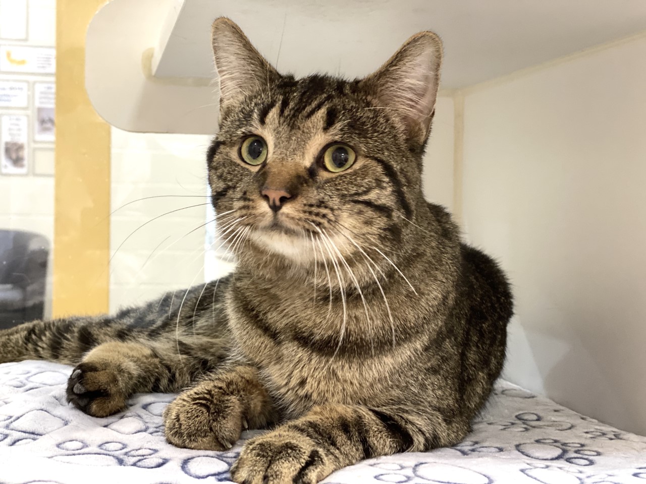 Qui craquera pour Creton ?