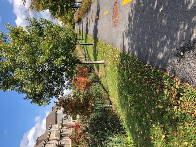 Opinion: Gaspillage éhonté