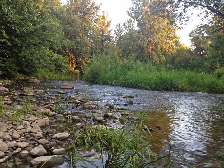 La Vigile verte revient à la charge avec son projet de parc urbain à Brossard