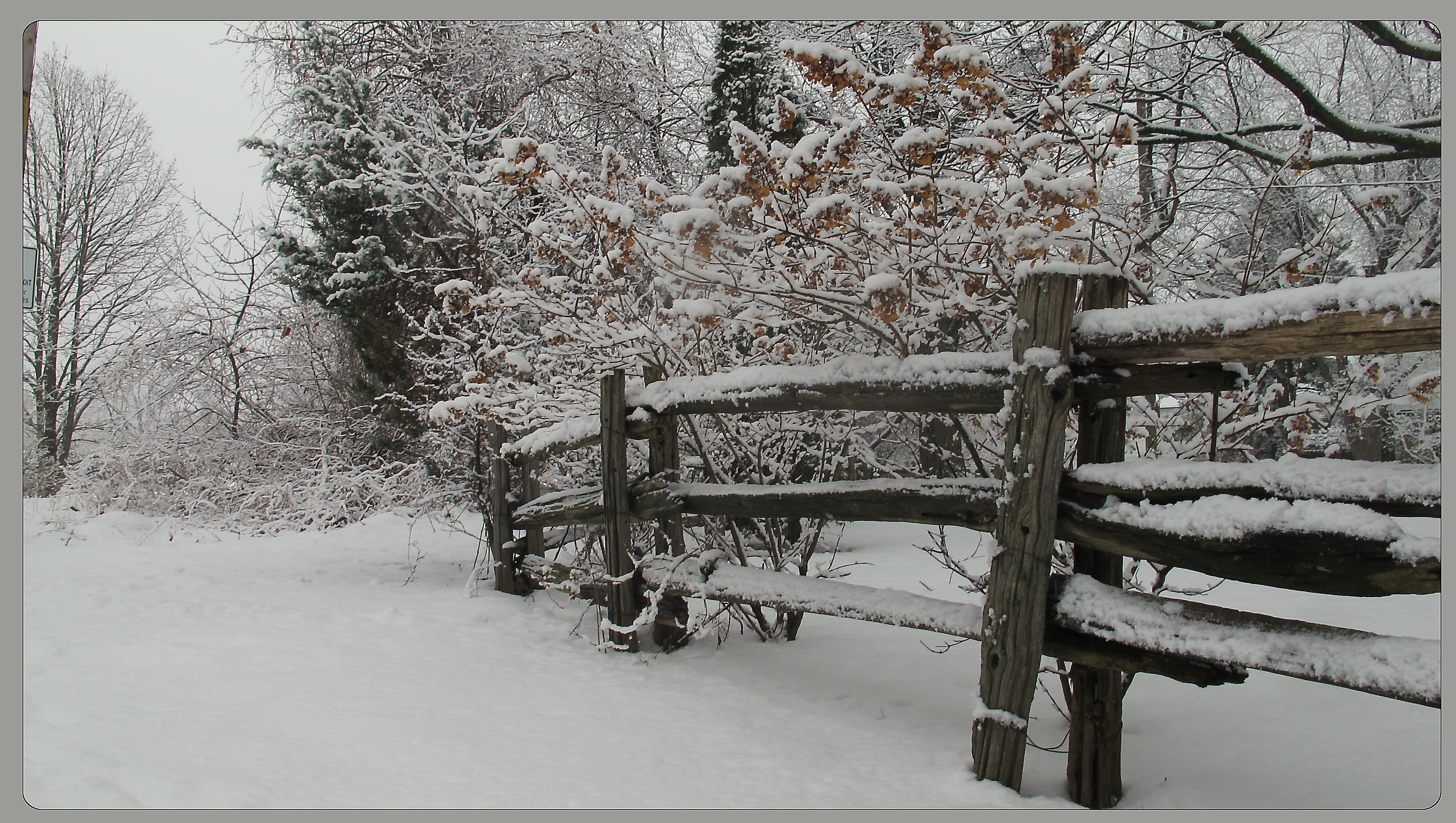 Beauté hivernale