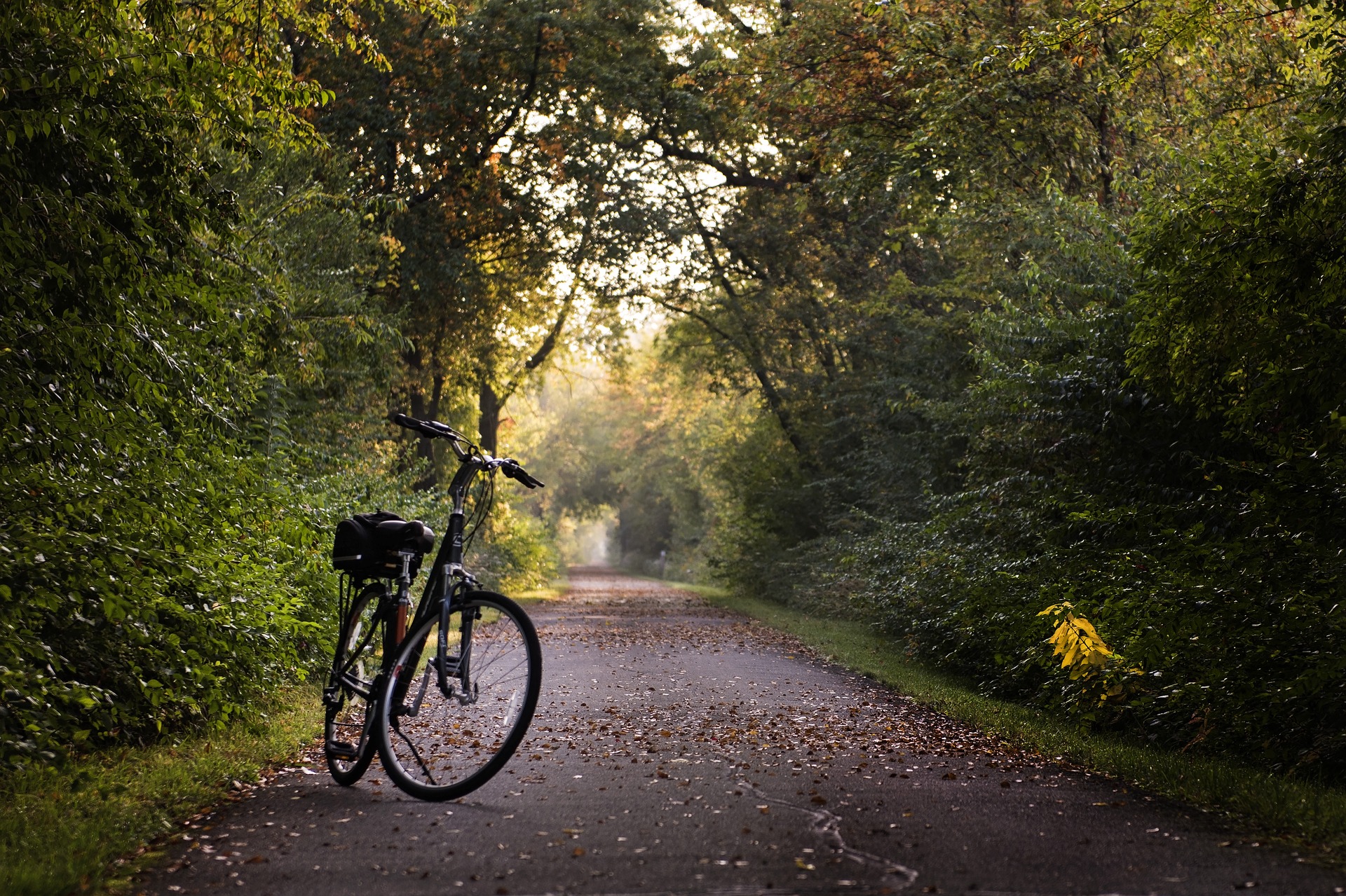 Saint-Lambert crée un comité vélo afin d’obtenir la certification Vélosympathique
