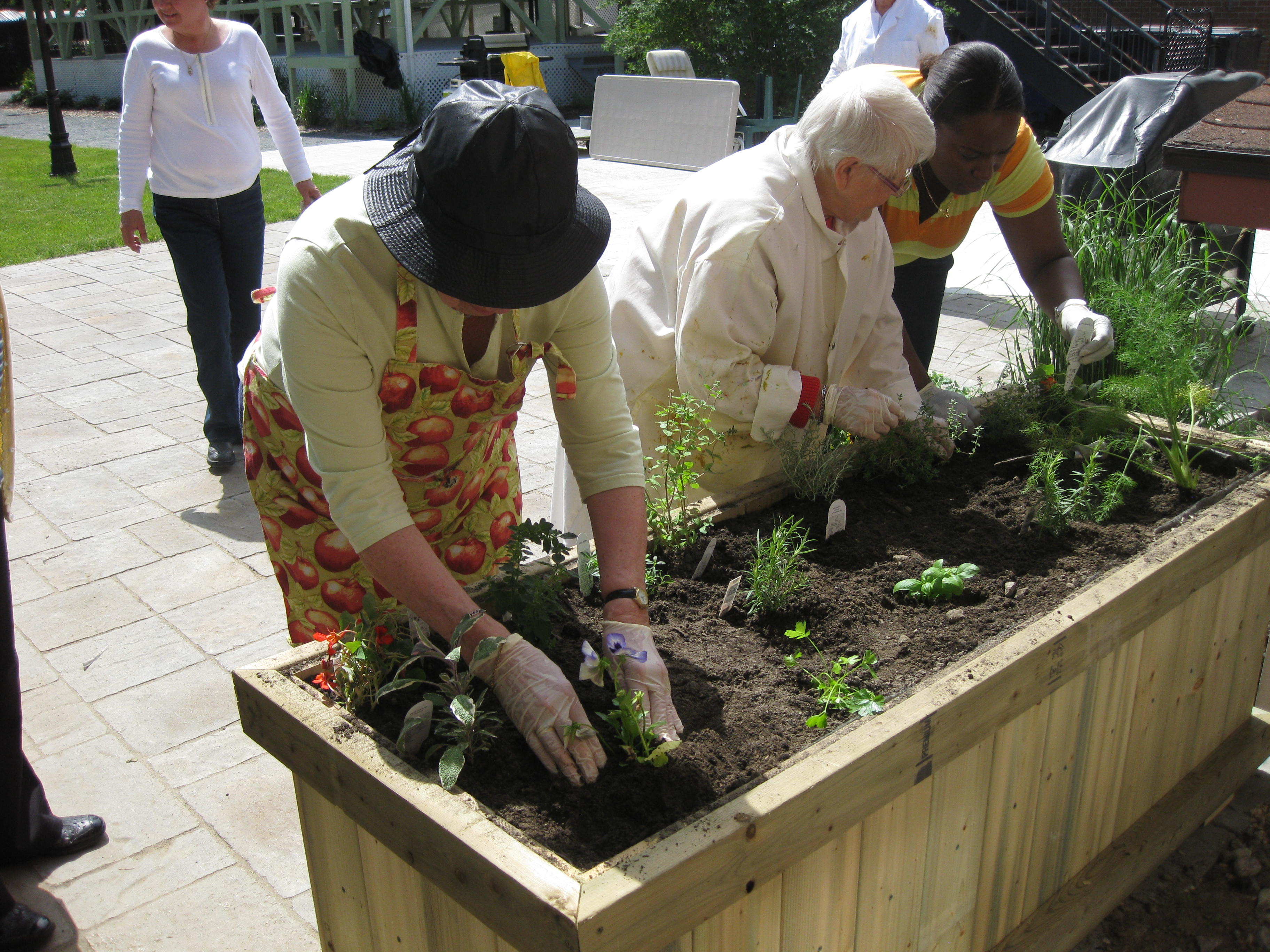 Société Alzheimer Rive-Sud : aider le plus grand nombre malgré la pandémie
