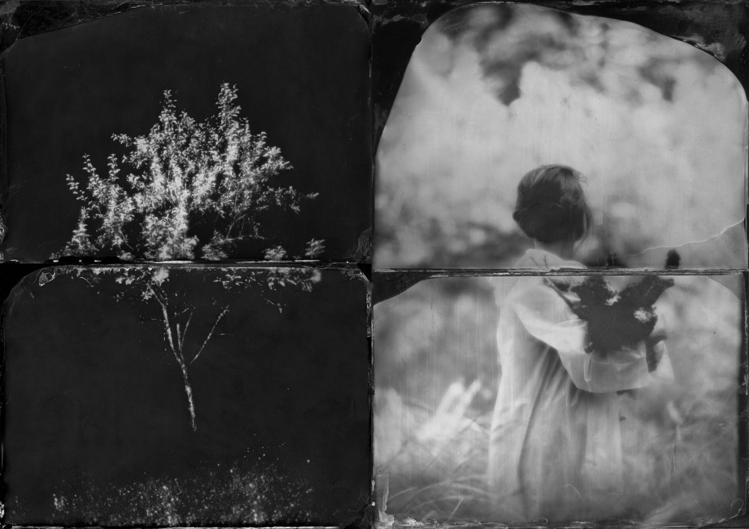 Agrégat crée un lieu de rencontres et d’expositions à l’Atrium de l’UdeS