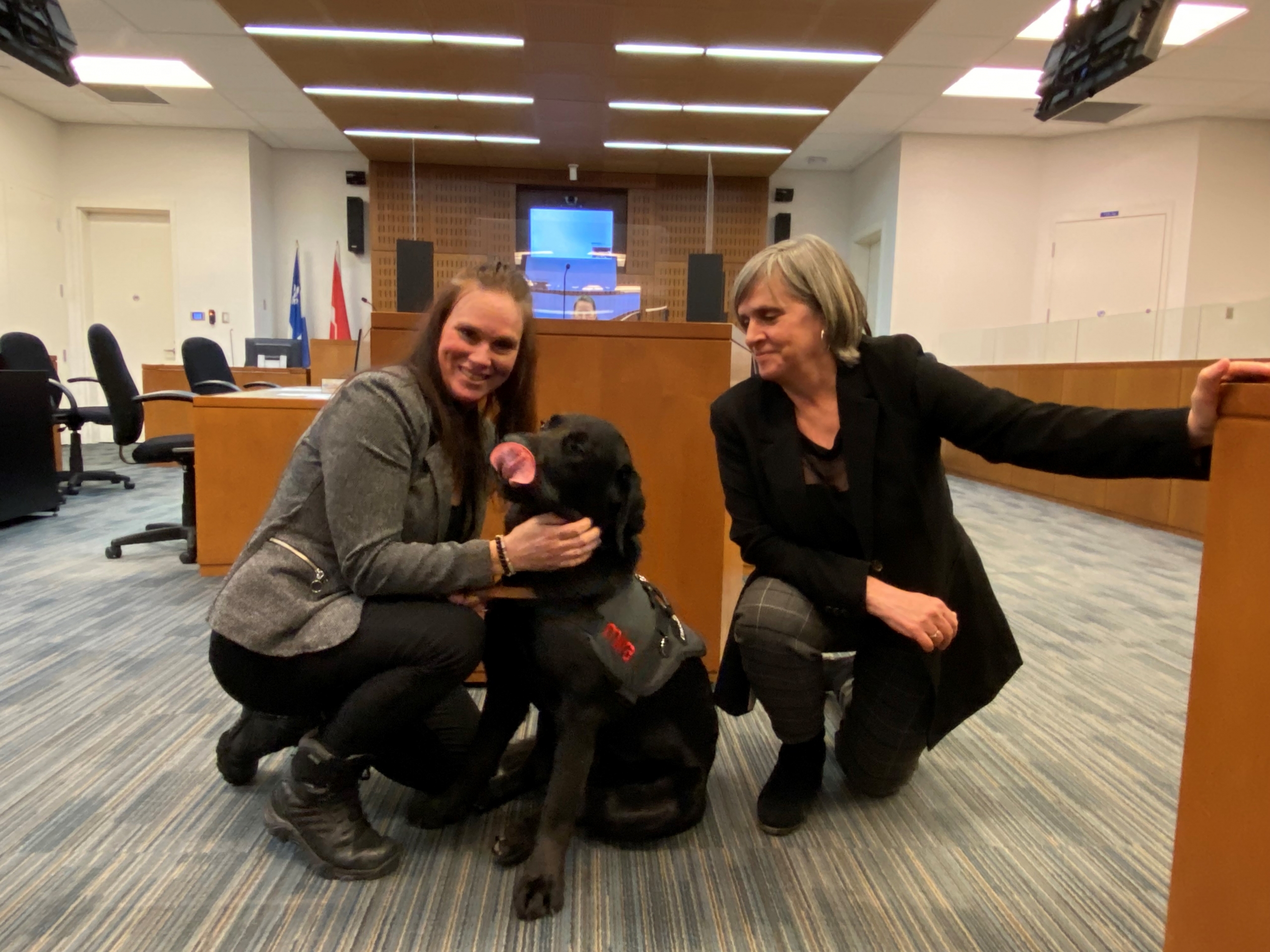 Un chien d’assistance pour accompagner les victimes au tribunal