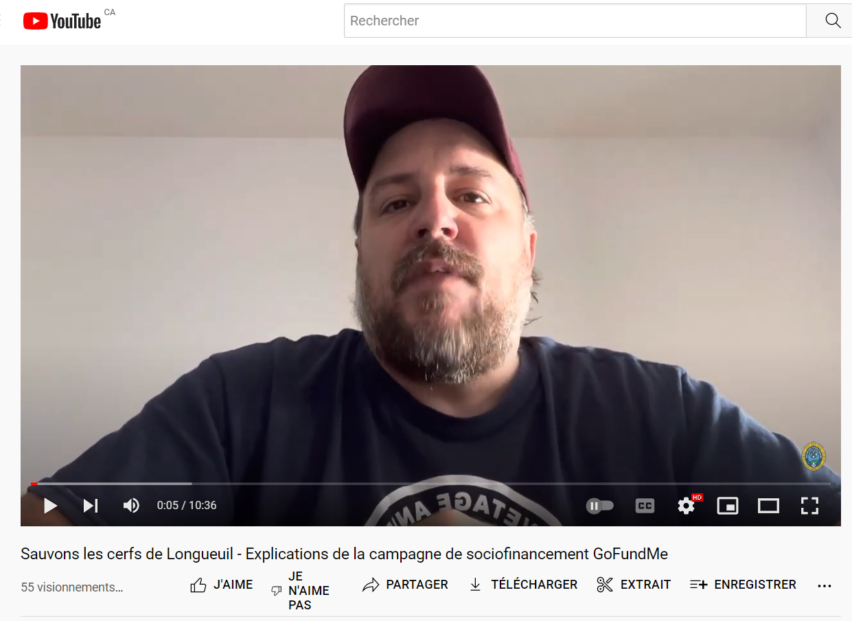 Sauvetage Animal lance un GoFundMe pour sauver les cerfs