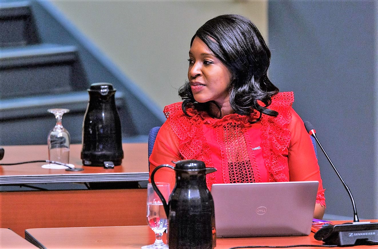 Mois de l’Histoire des Noirs : Une programmation pour favoriser la diversité