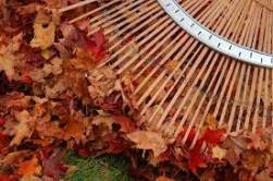 Plus de 4,7 M$ pour les résidus de jardinage et autres résidus verts