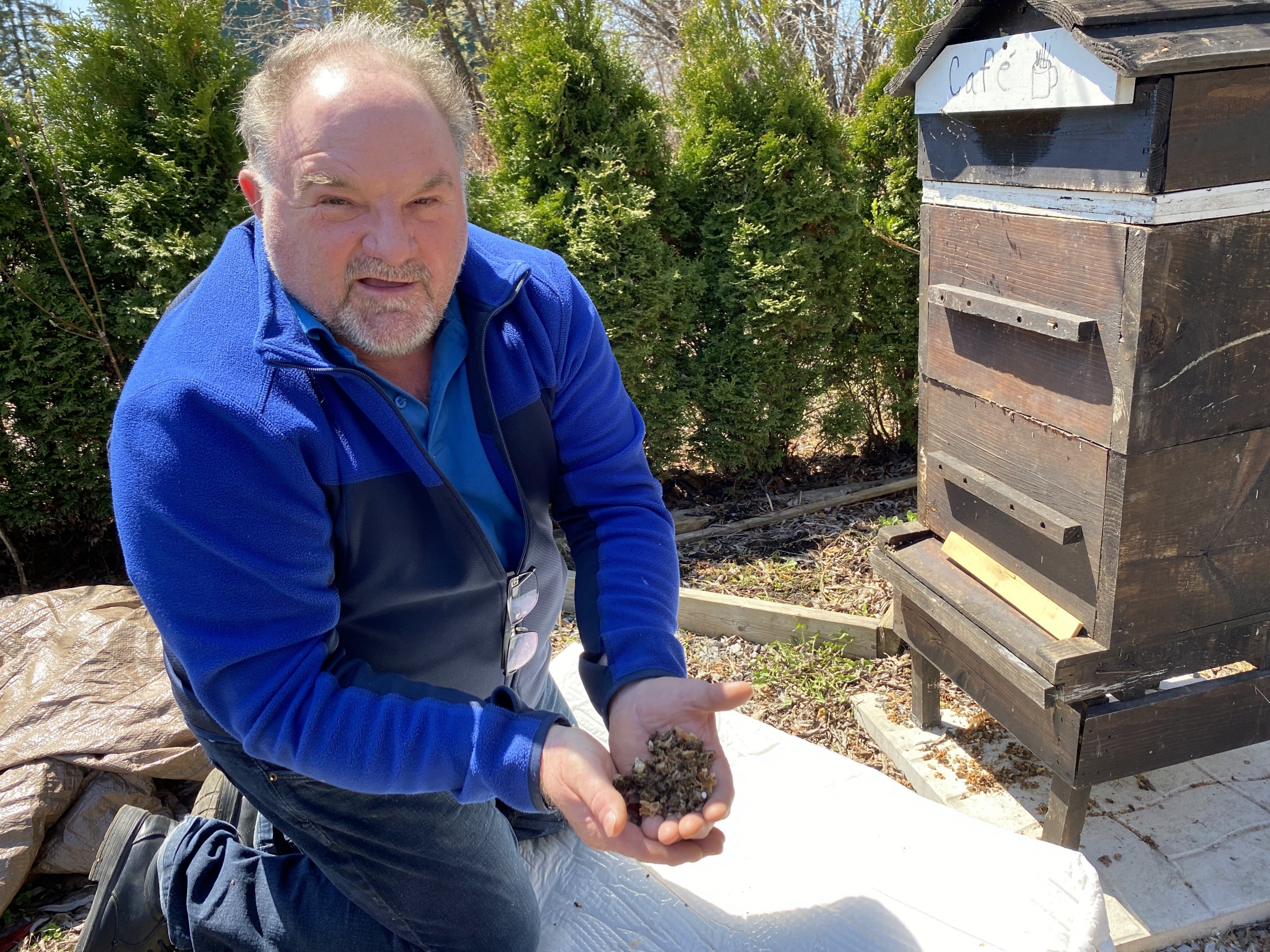 Une perte colossale de ruches qui laisse des traces
