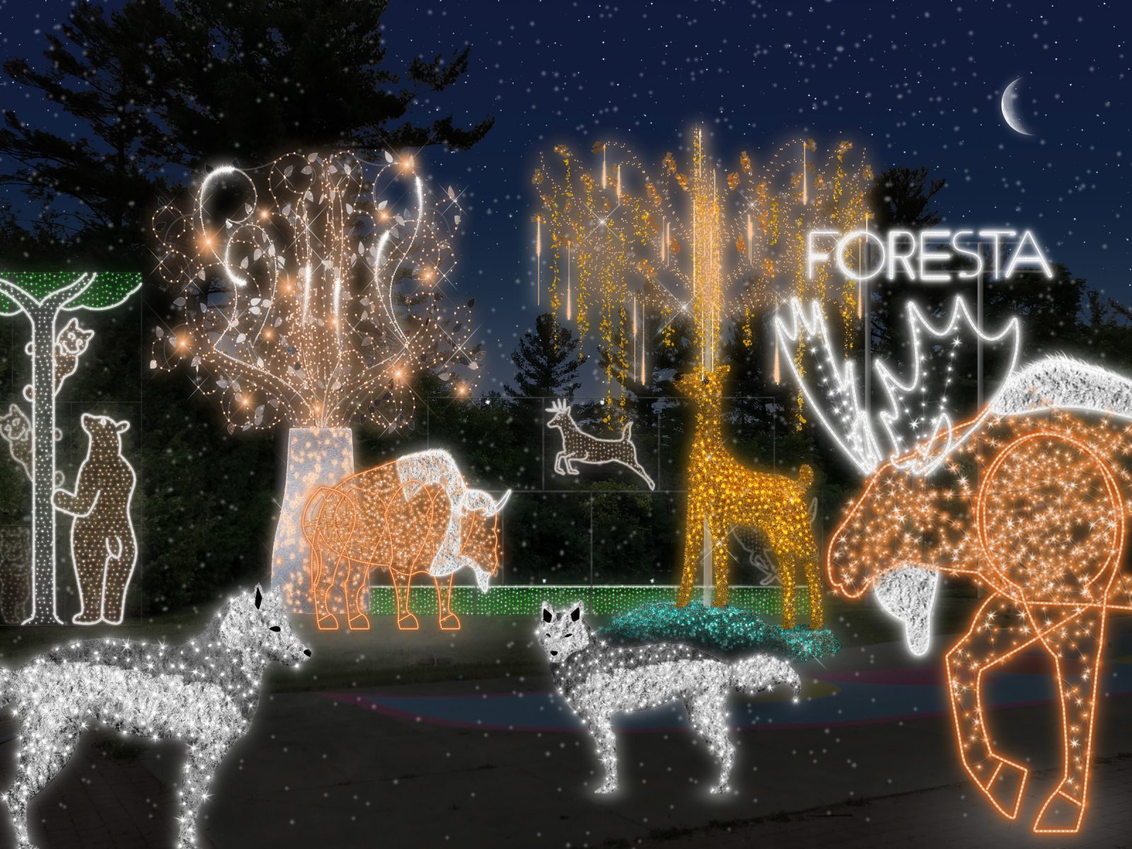 Le Parc Safari annonce une nouveauté pour ses 50 ans