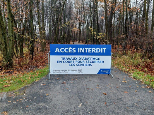 Parcs-nature : plus de 15 000 arbres morts ou malades devront être abattus