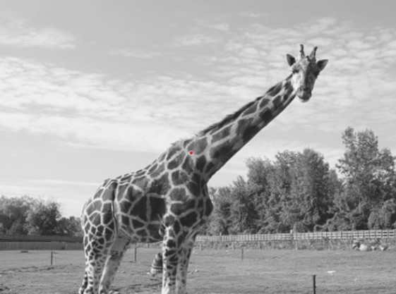 Le Parc Safari en deuil d&rsquo;Agathe