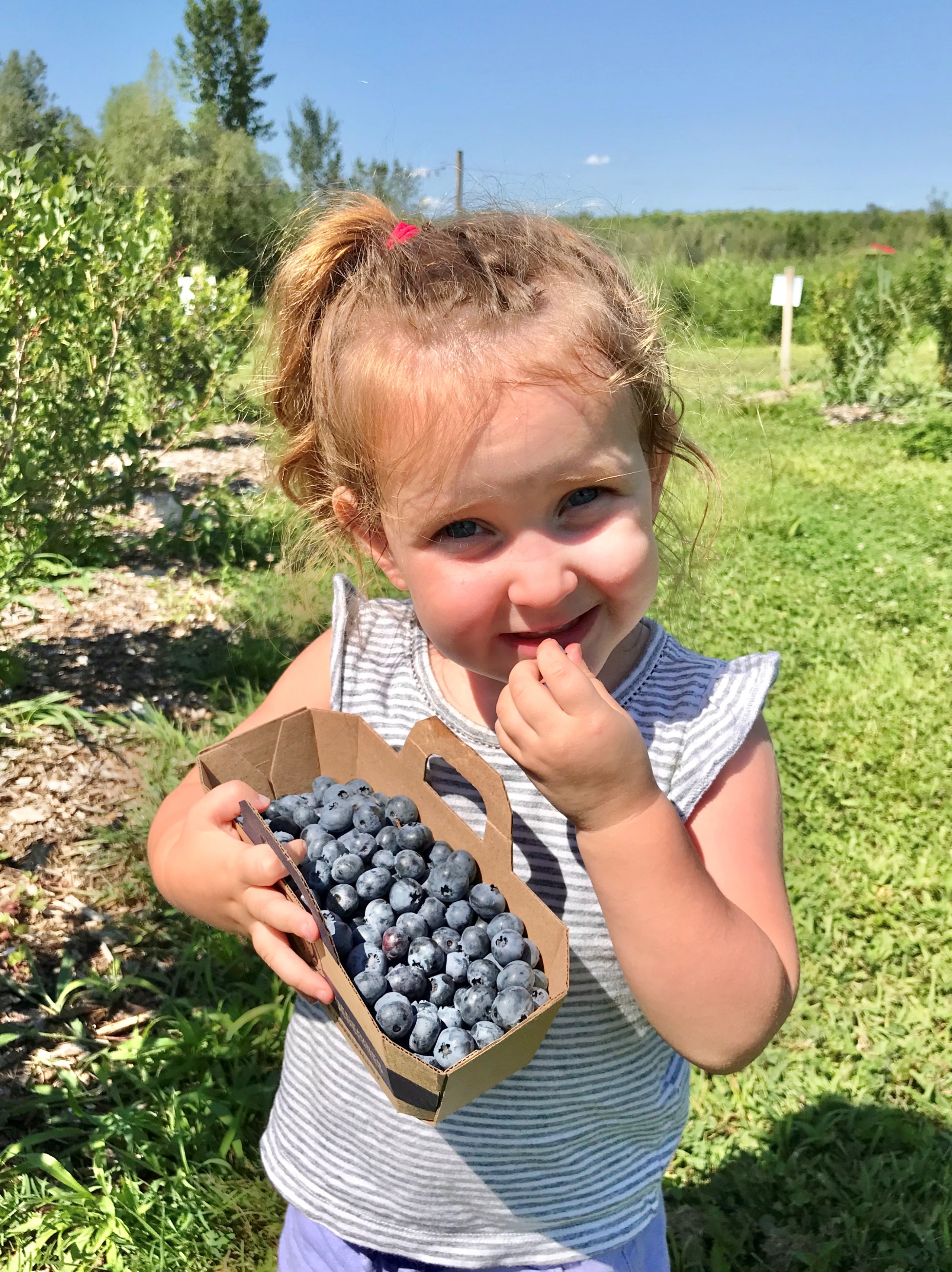 Rencontre avec les maraîchers