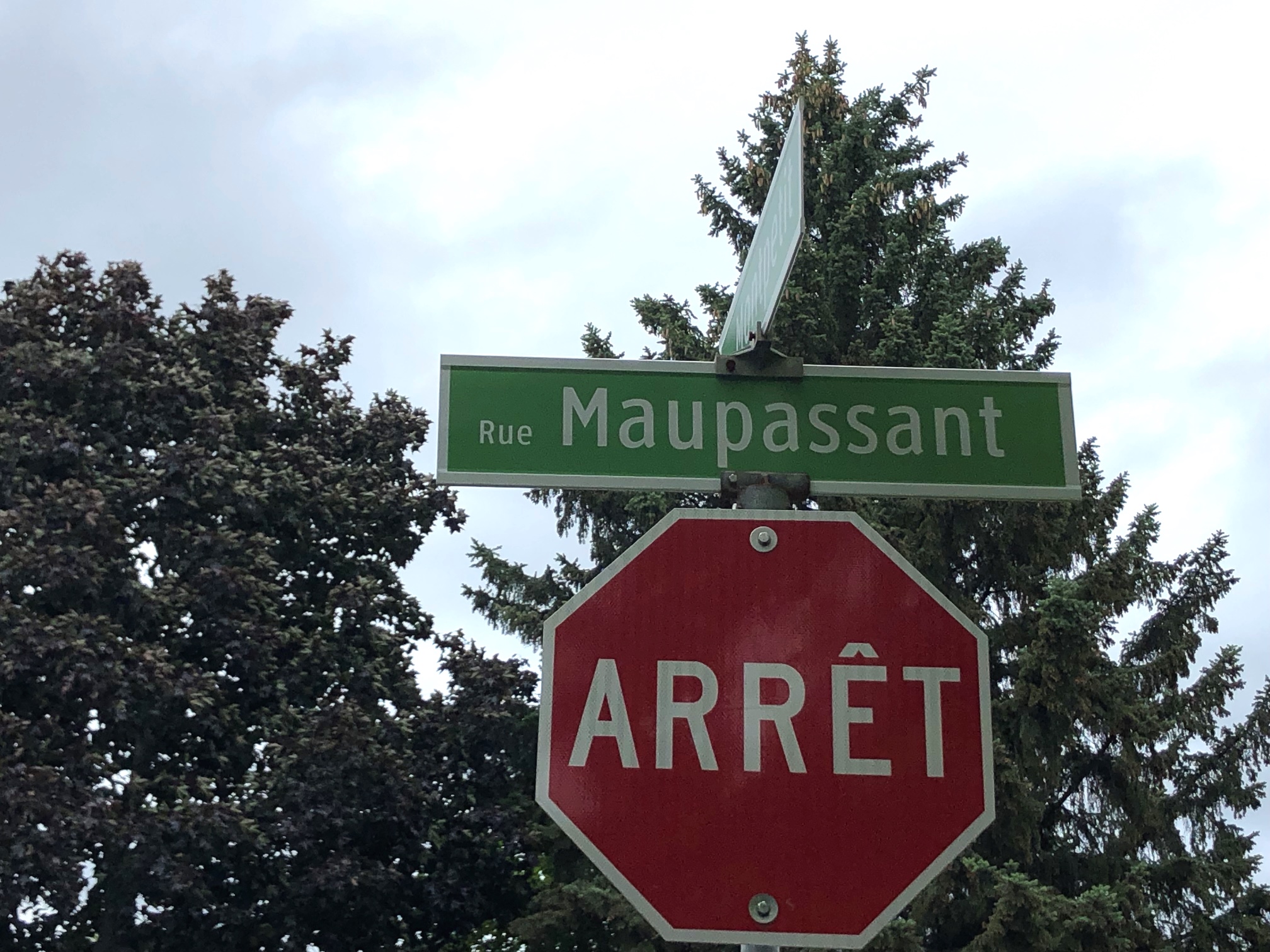 Opposés aux travaux sur leur rue, les résidents de Maupassant ont gain de cause