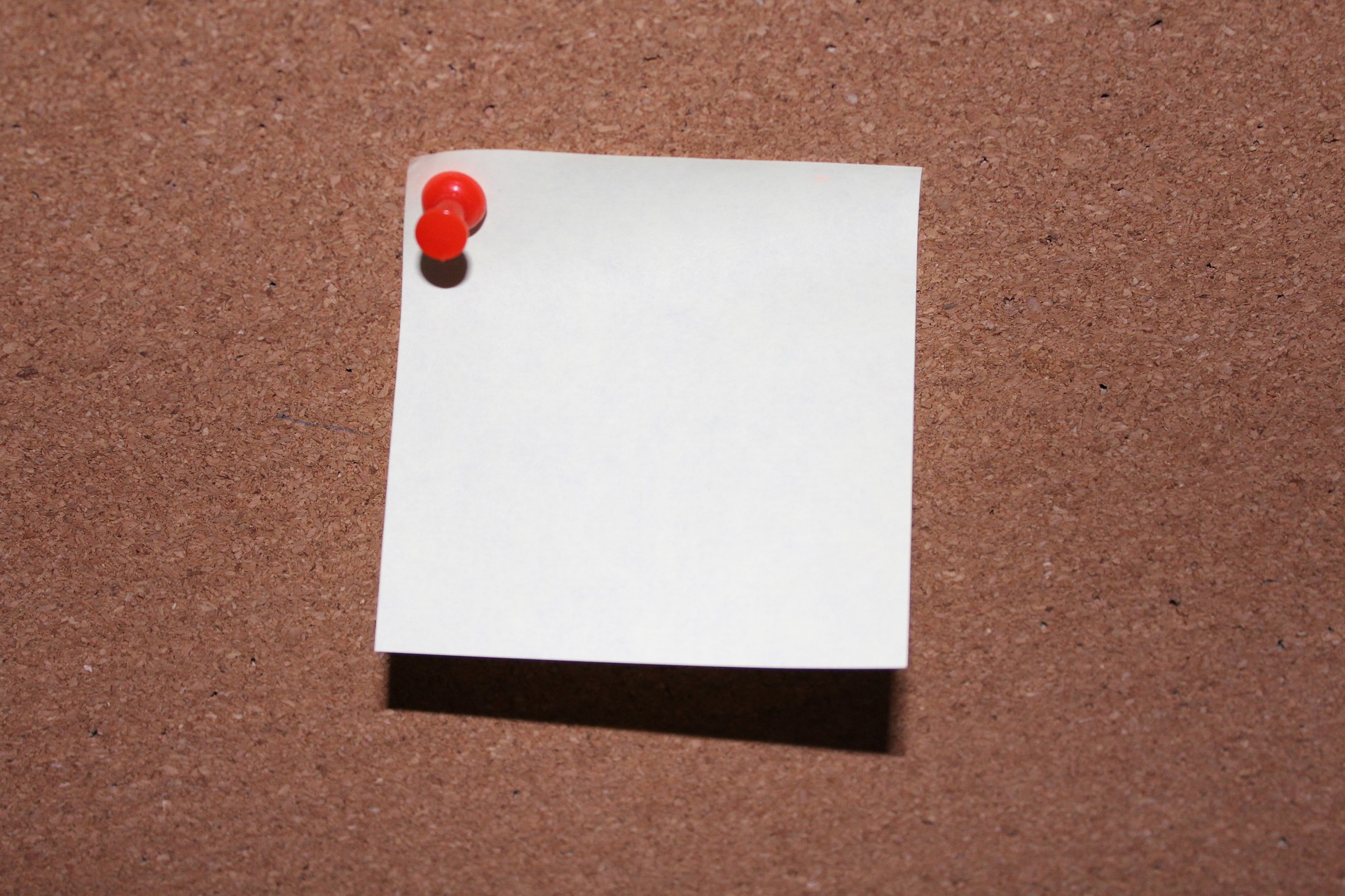 Activit&eacute;s communautaires du 9 juin