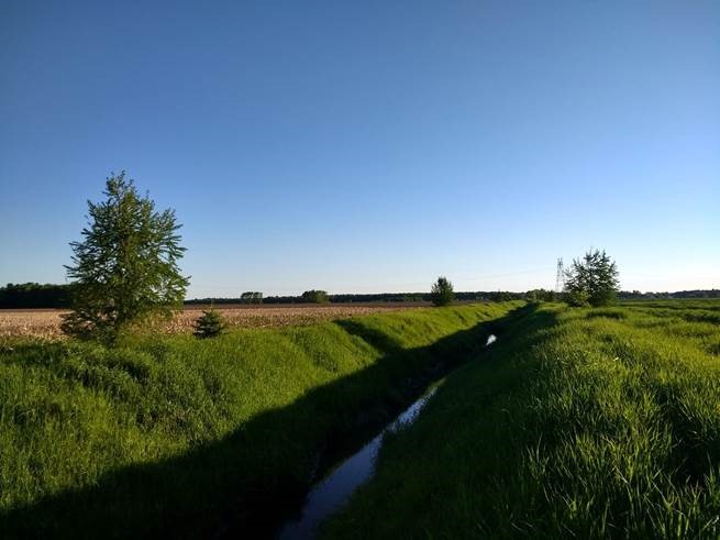 Nouveaux efforts pour protéger des bandes riveraines agricoles en Montérégie