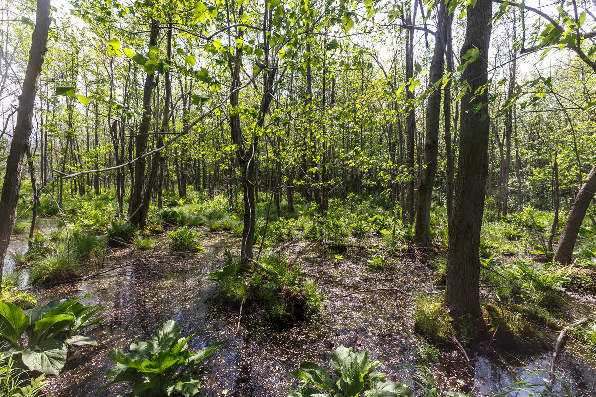 Brossard Ensemble promet de l&rsquo;audace pour l&rsquo;environnement