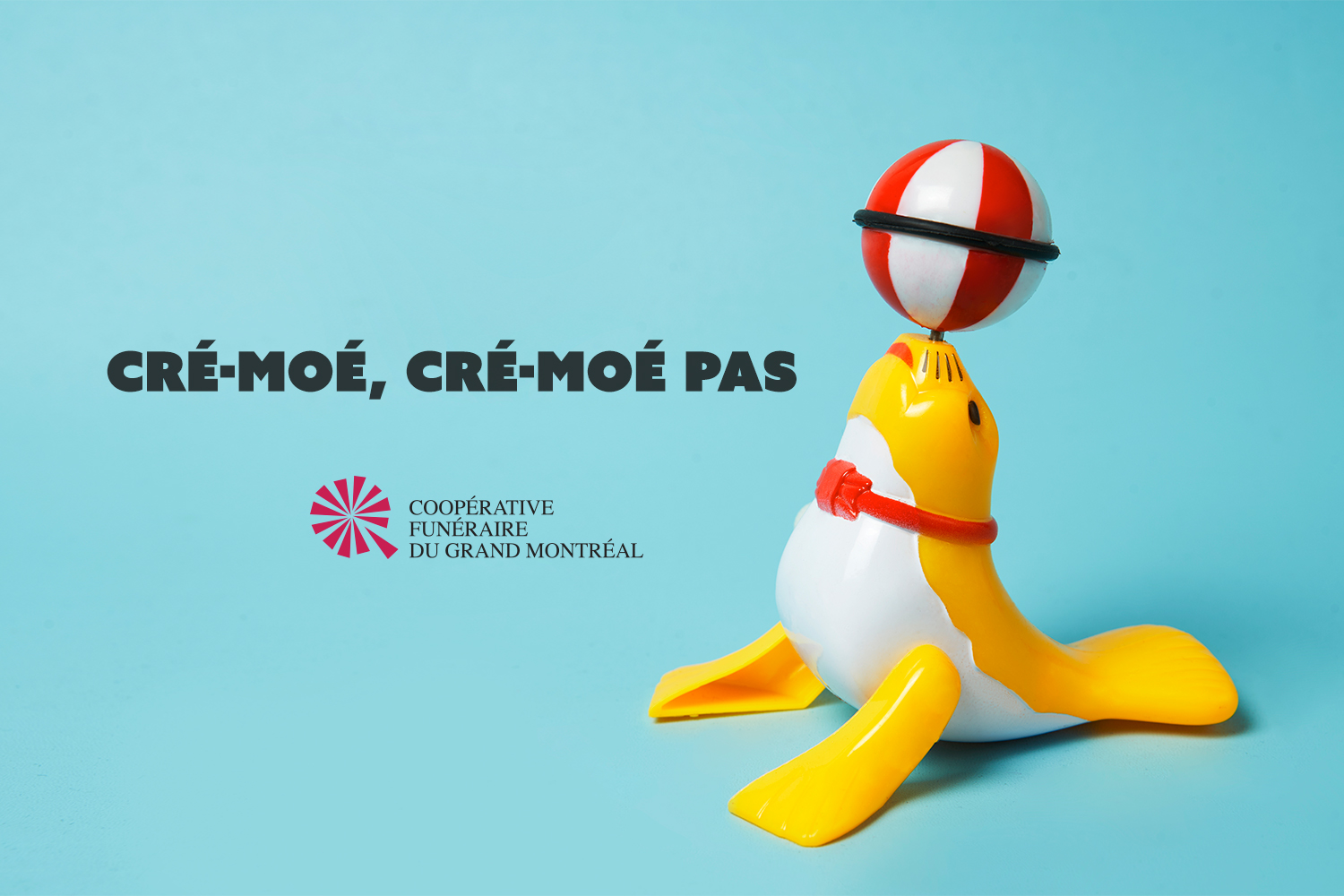 Cré-moé, cré-moé pas