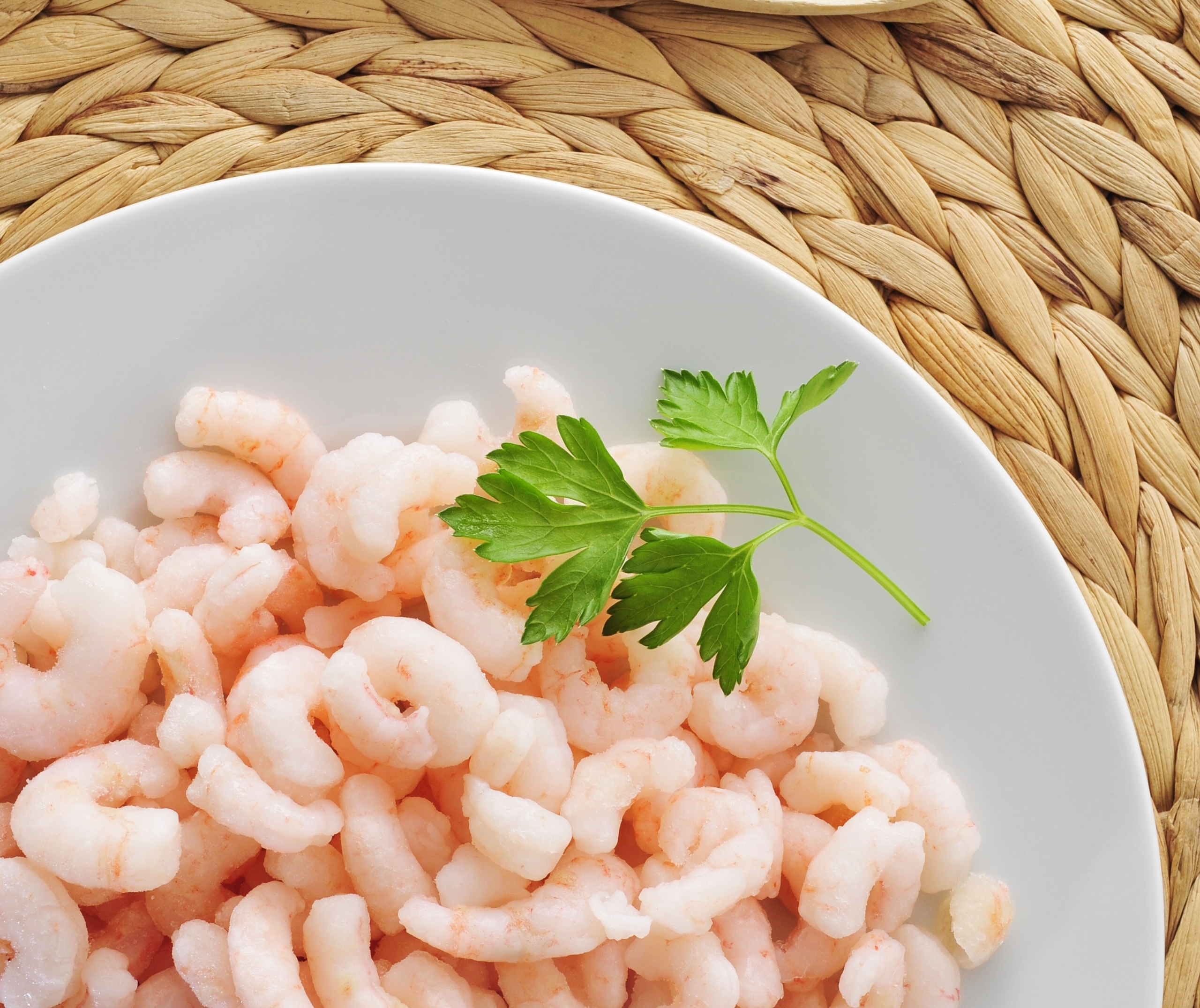 Le mystère de la crevette de Matane décortiqué