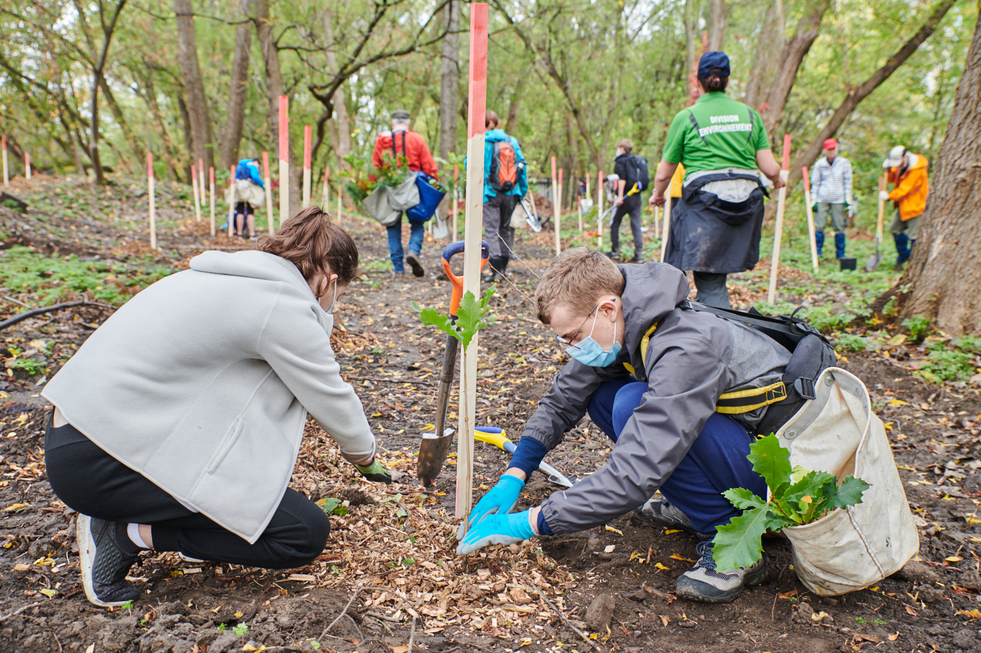 Plus de 225 arbres plantés au Boisé du Limousin