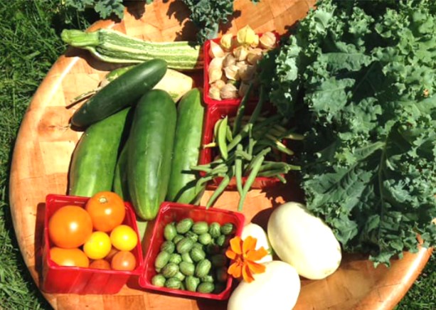 Les Jardins à partager présente sa Fête des récoltes