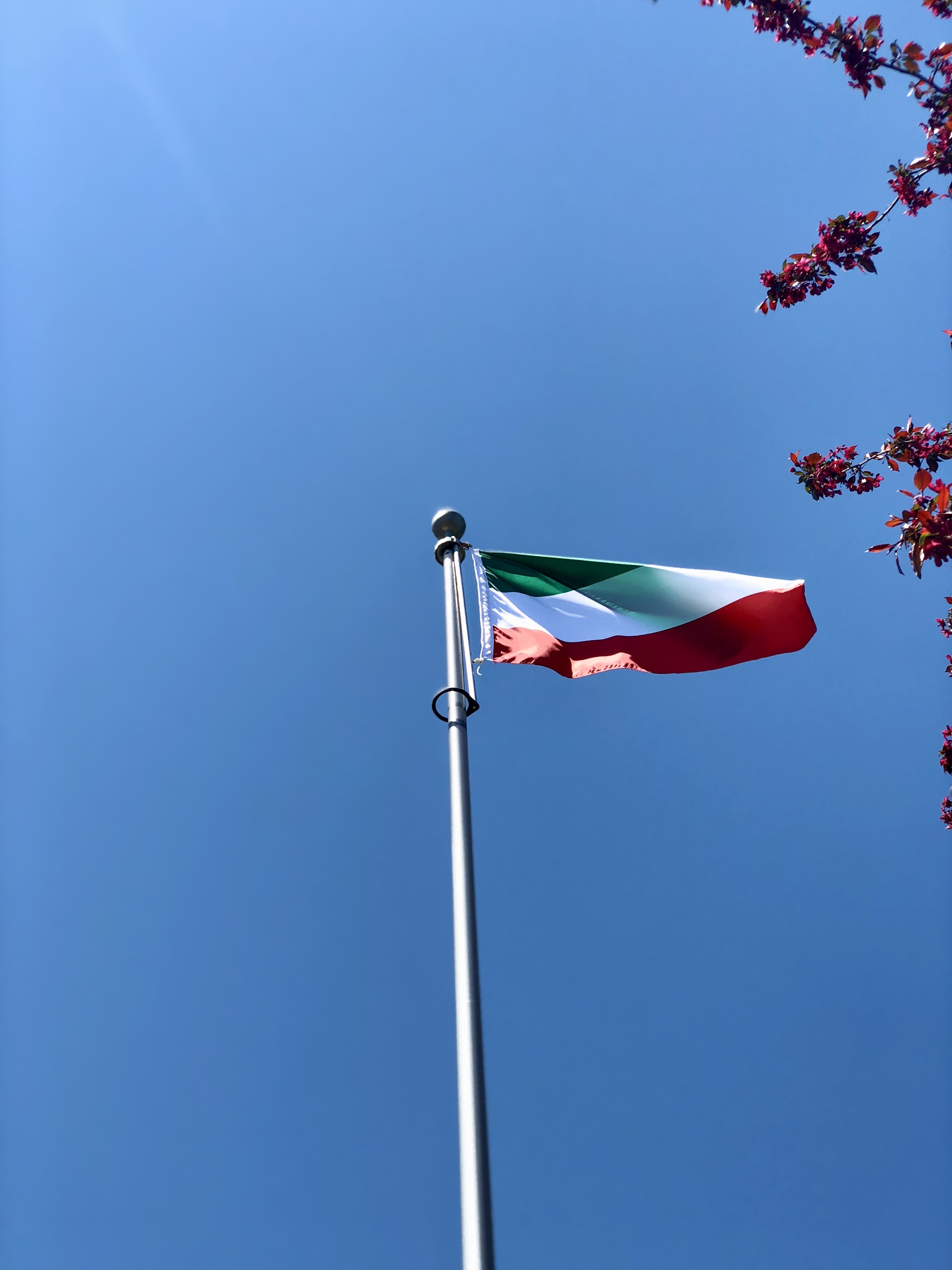 Catherine Fournier s&rsquo;engage &agrave; hisser le drapeau des Patriotes &agrave; chaque Journ&eacute;e nationale des Patriotes