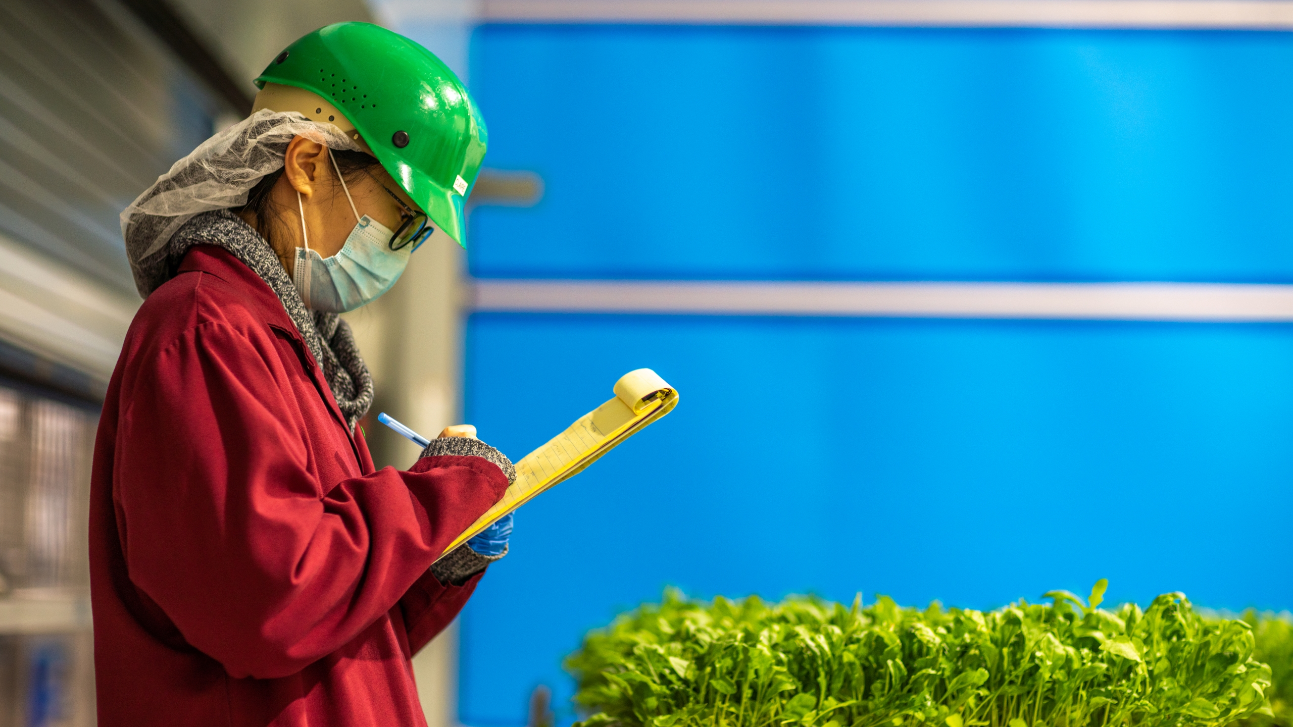 Une ferme verticale devrait voir le jour à Longueuil en 2023