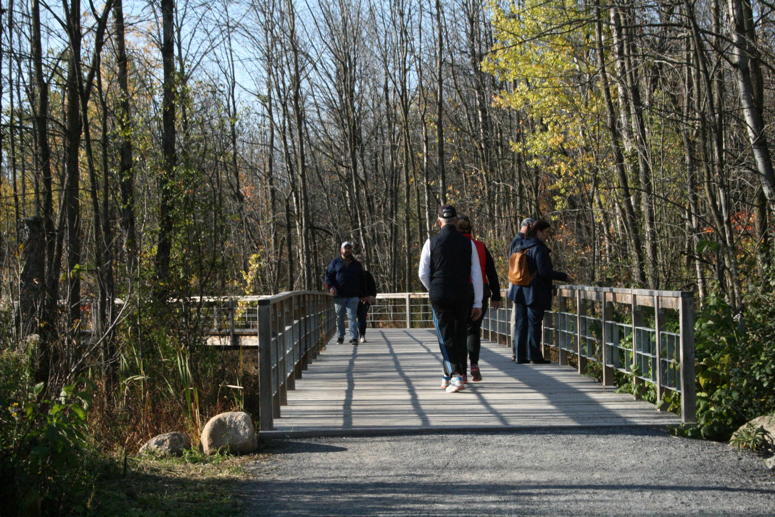 Réouverture des sentiers dans les parcs-nature de Longueuil