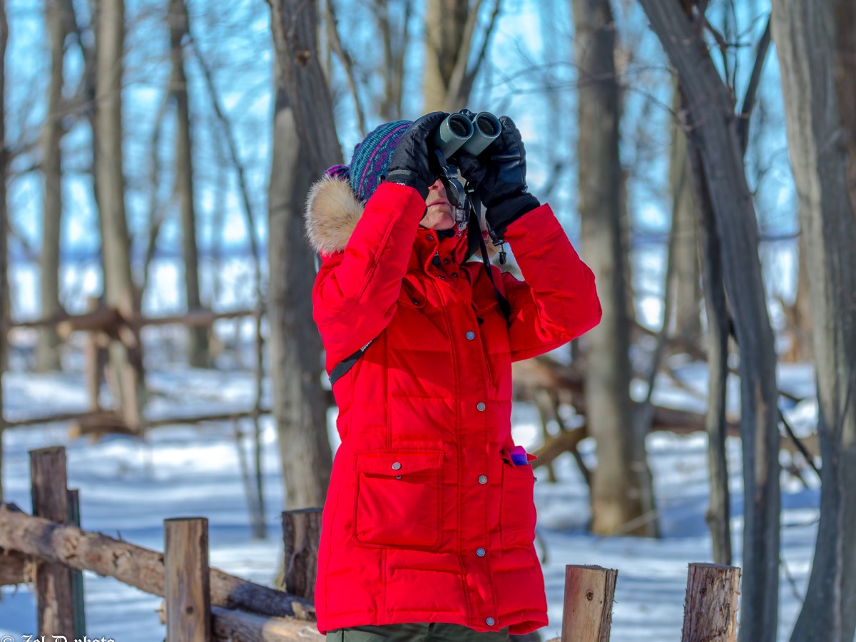 L’ornithologie a le vent dans les ailes